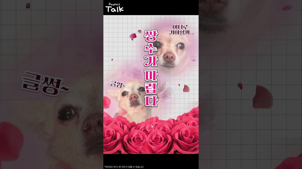 2030 눈성형 한방정리!